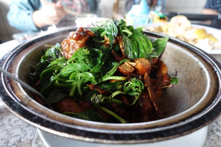 101838395_556139488418551_1477395722495066112_n